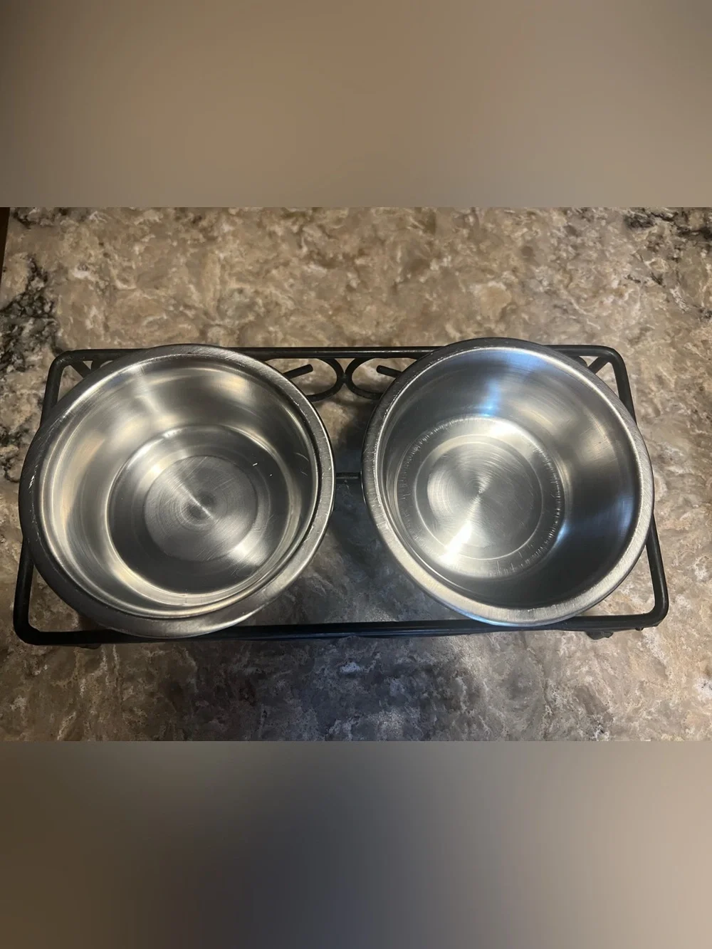 Double Stainless Steel Pet Bowls with Decorative Black Iron Stand